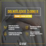 zlobki