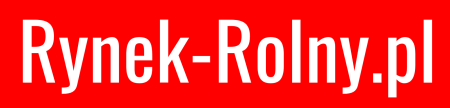 logo rynek 2
