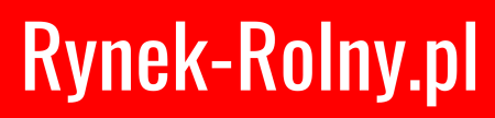 logo rynek 2 