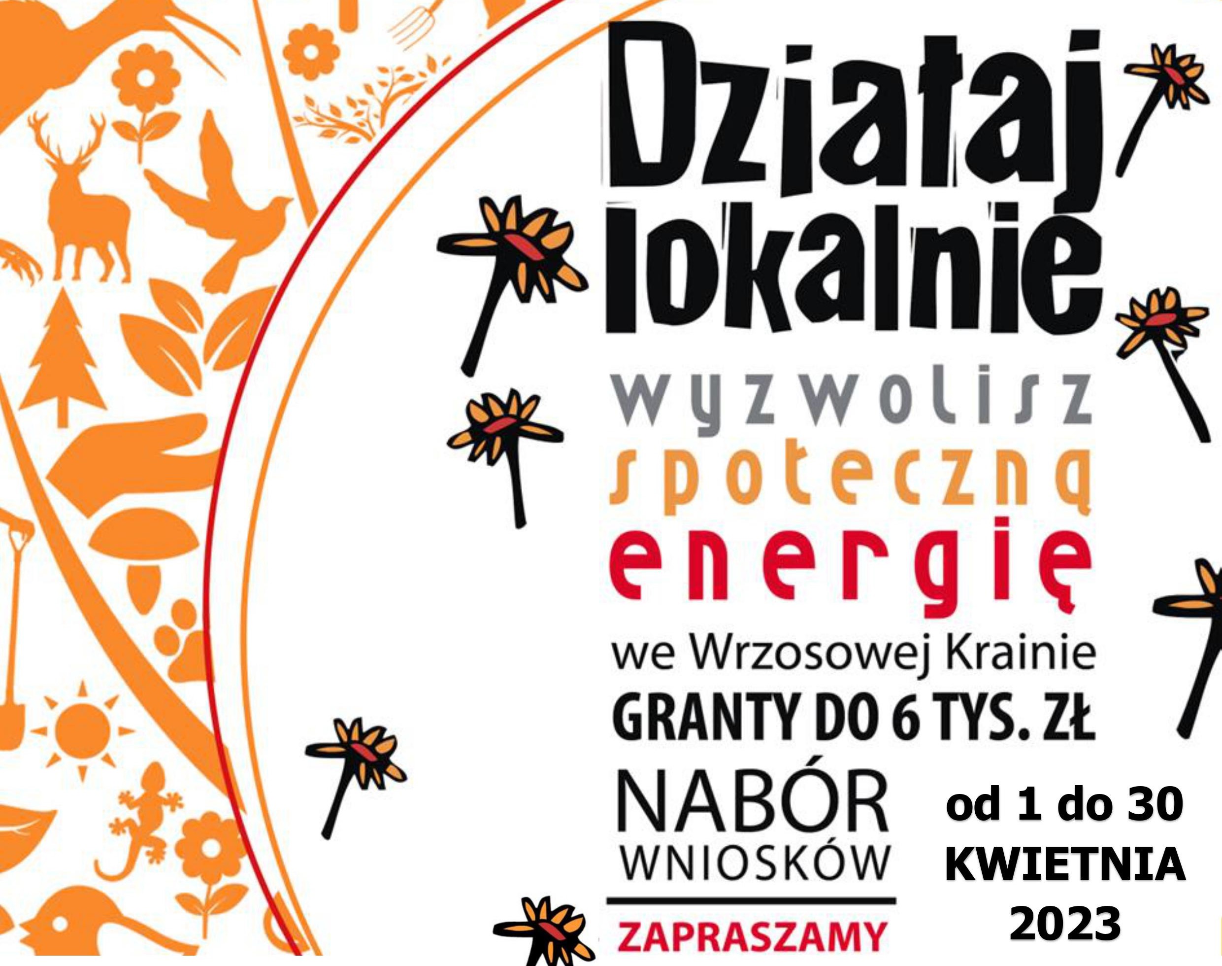 plakat DL 20231