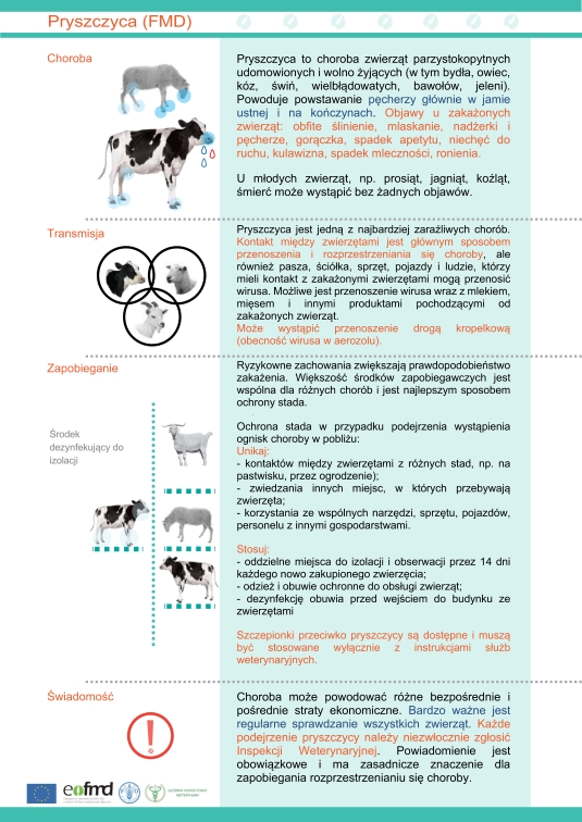 Ulotka FMD podstawowe informacje-pdf