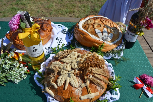 DSC 0037