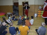 Galeria - losowe zdjęcie. osla-mikolaj009