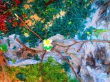 Galeria - losowe zdjęcie. sciezki-przyrodnicze005