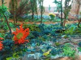 Galeria - losowe zdjęcie. sciezki-przyrodnicze024