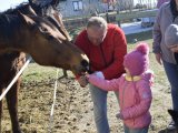 Galeria - losowe zdjęcie. wiosna-w-klekusiowie001